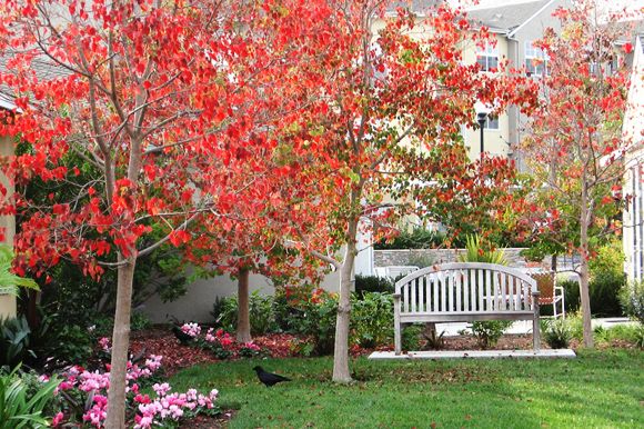 the-covington-outside-bench.jpg
