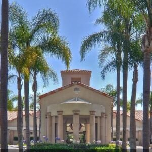the-ivy-at-wellington-1-front-view.jpg
