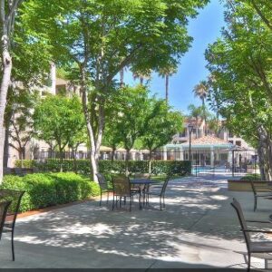 the-ivy-at-wellington-patio.jpg