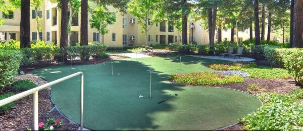the-ivy-at-wellington-putting-green.jpg