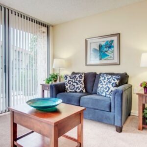 the-meridian-at-laguna-hills-apartment-living-room.jpg