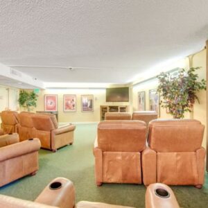 the-meridian-at-laguna-hills-tv-room.jpg