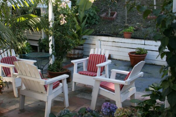 the-vine-house-residential-care-13-patio.jpg