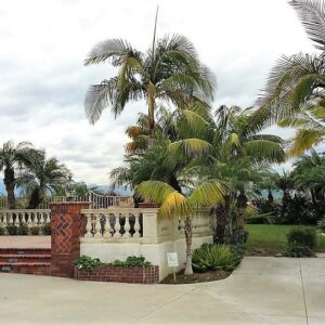 tlc-elderly-residence-i-1-front-view.jpg