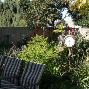 trucare-boarding-home-inc-6-back-patio.jpg