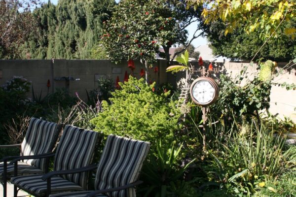 trucare-boarding-home-inc-6-back-patio.jpg