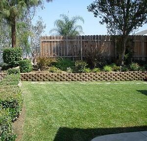 via-tercero-homes-6-backyard.jpg