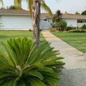 villa-park-gardens-1-front-view.jpg