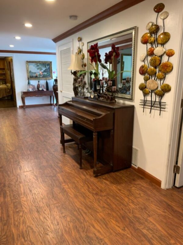 villa-park-gardens-3-piano.jpg